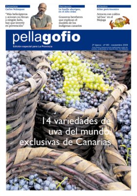 Pellagofio : revista mensual para conocer y saborear Canarias y su entorno