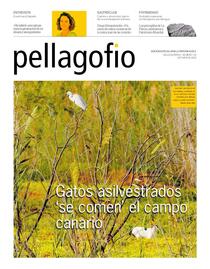 Pellagofio : revista mensual para conocer y saborear Canarias y su entorno